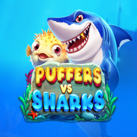 Puffers Vs Sharks